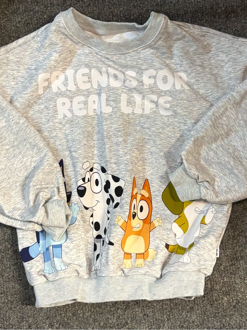Little Sleepies Grey 'Friends for Real Life' Graphic Sweatshirt bluey